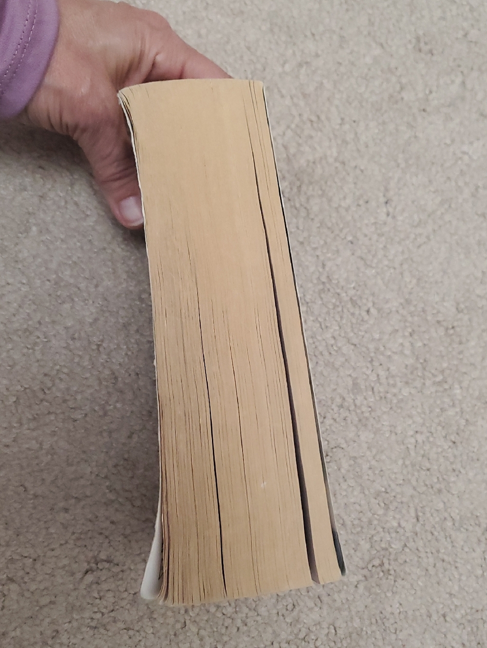 "The Shadow Rising" novel - Picture 3 of 11